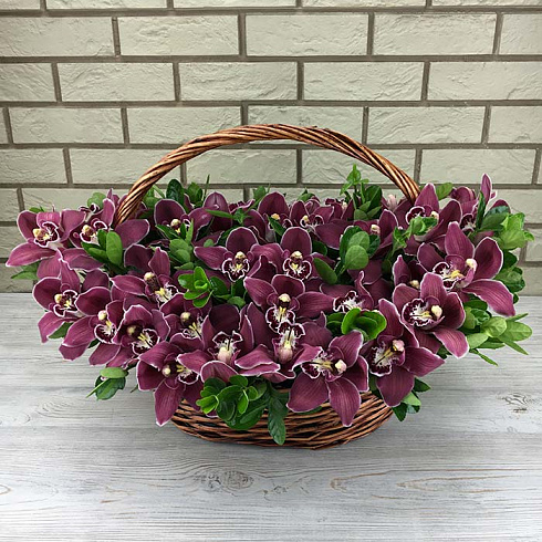 39 орхидеи в корзине