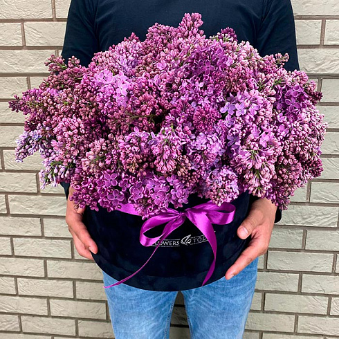 Сирень в черной коробке