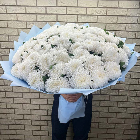 Большие белые хризантемы