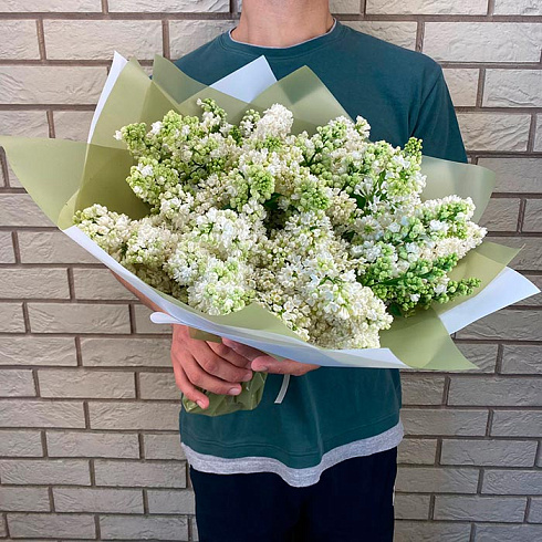 Букет белой сирени