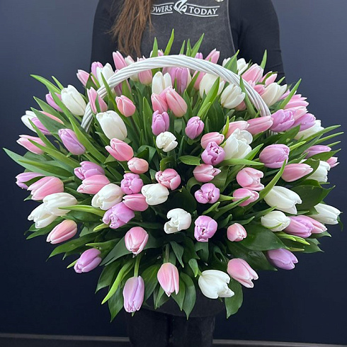 101 тюльпан микс в корзине