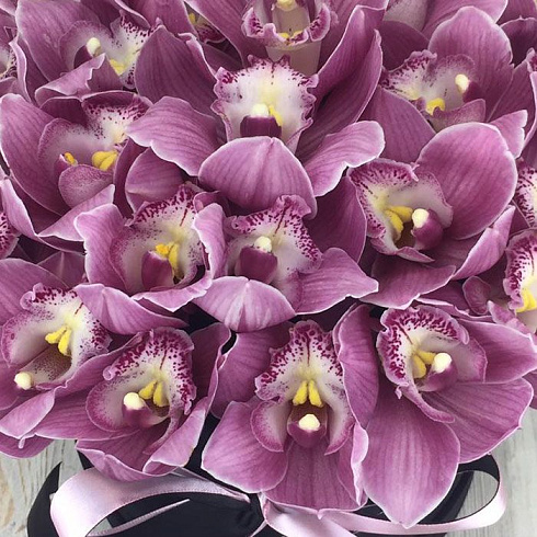 Орхидеи в бархатной коробке