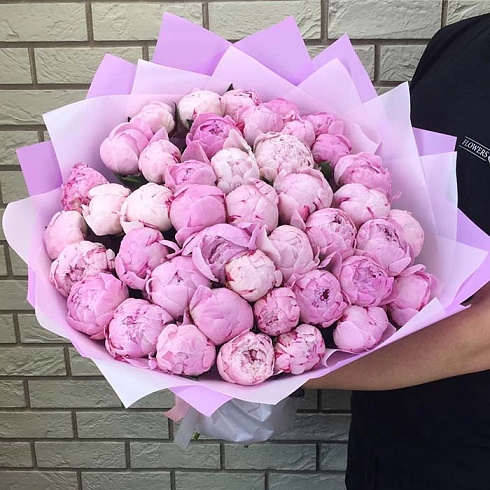 49 розовых пионов