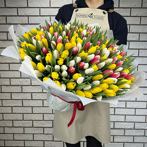 301 тюльпан микс