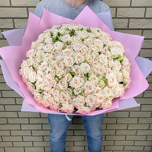 Кремовые кустовые розы