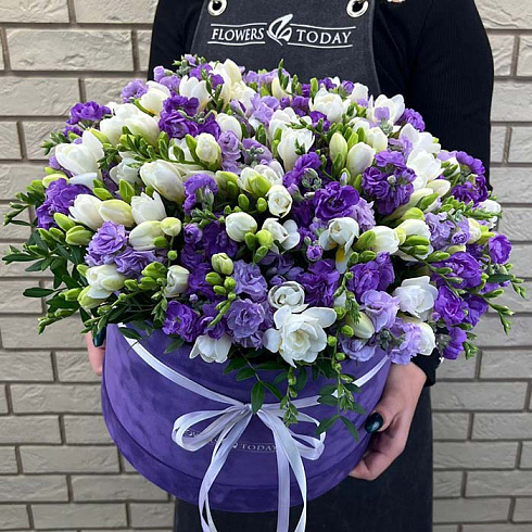 Фрезии и маттиолы в коробке