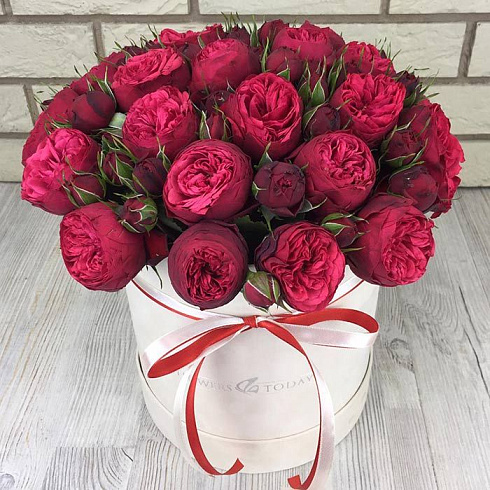 Пионовидные розы в бархатной коробке
