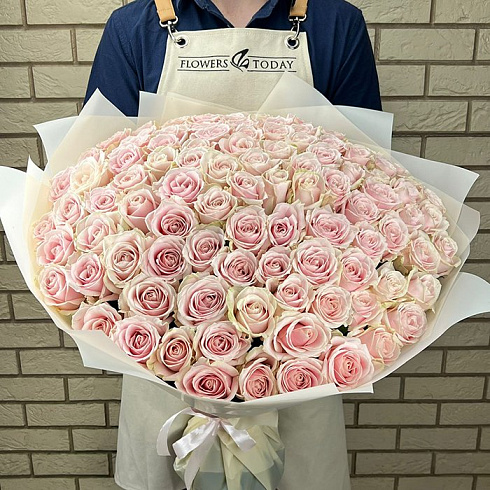 101 крупная нежно-розовая роза