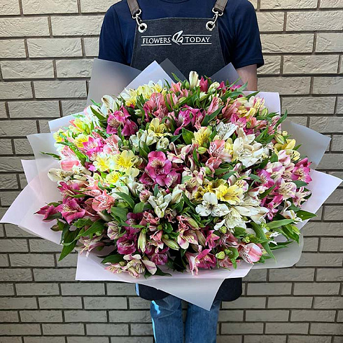 Альстромерии микс