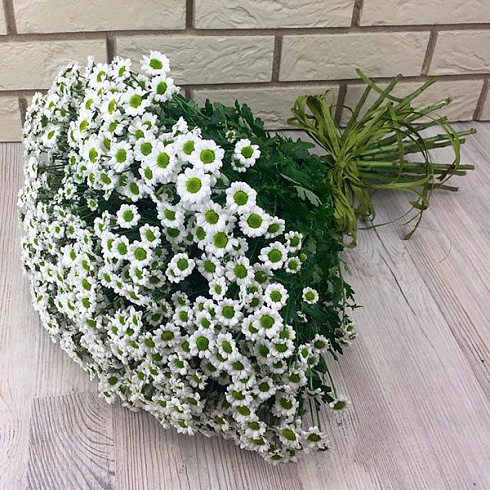 Букет хризантем