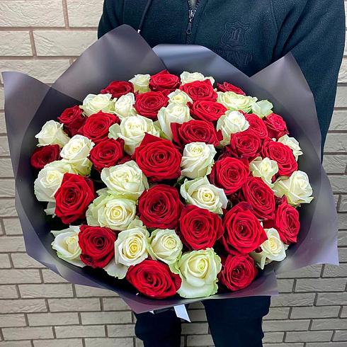 51 красная и белая роза