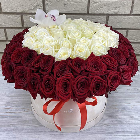 101 роза и орхидея в бархатной коробке