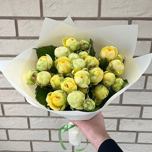 Пионовидные розы