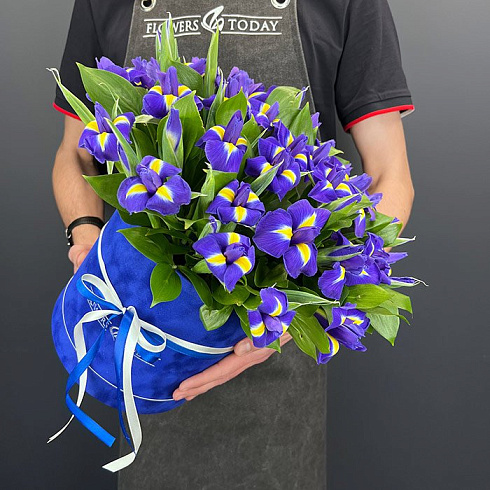 Ирисы в коробке