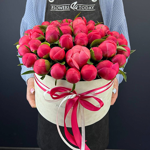 Коралловые пионы в коробке