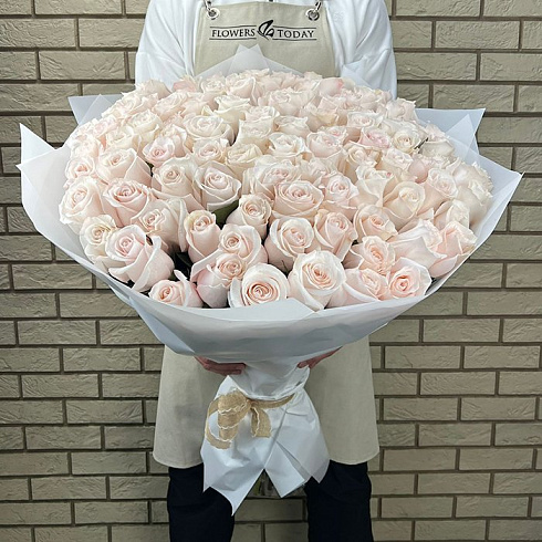 101 нежно розовая роза
