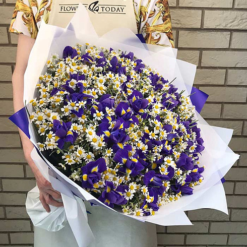 Ирисы и ромашки