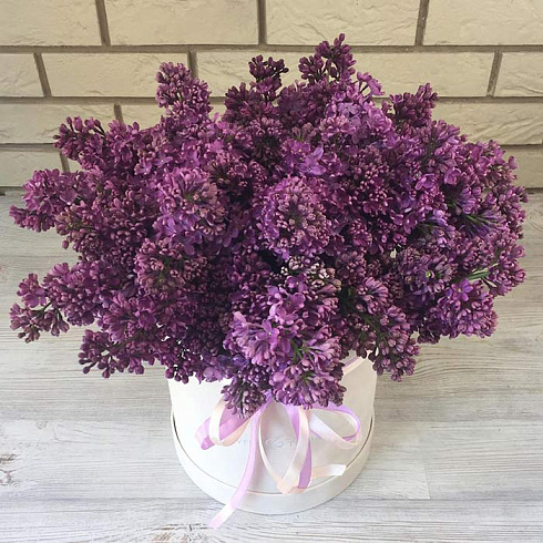 Сирень в коробке