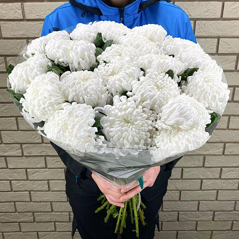 Пышные белые хризантемы