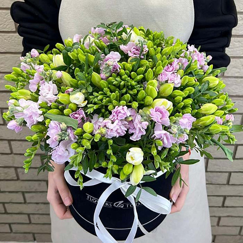 Маттиолы и фрезии