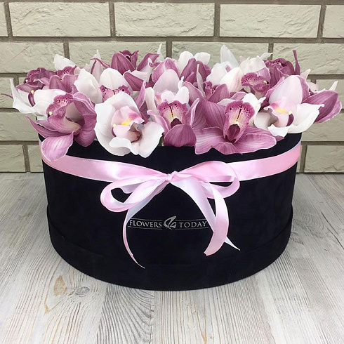 Большая коробка орхидей