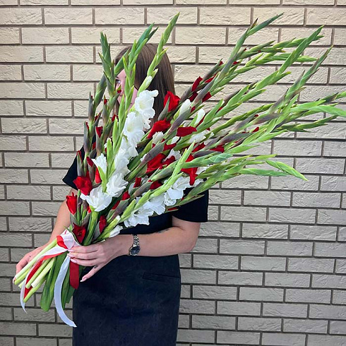 Красные и белые гладиолусы