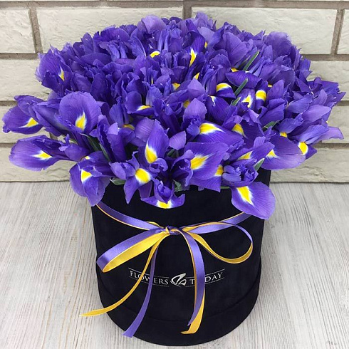 Ирисы в коробке