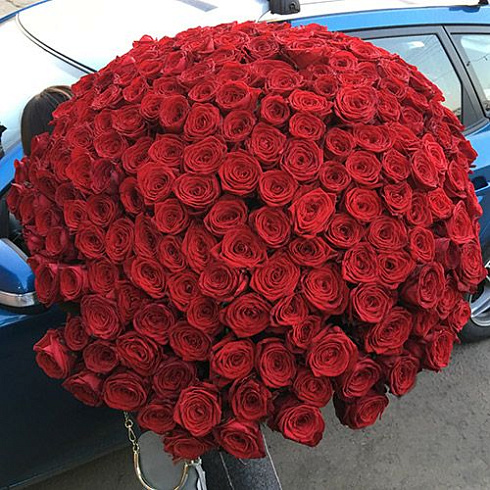 201 красная роза