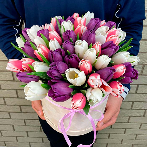 59 тюльпанов микс в коробке