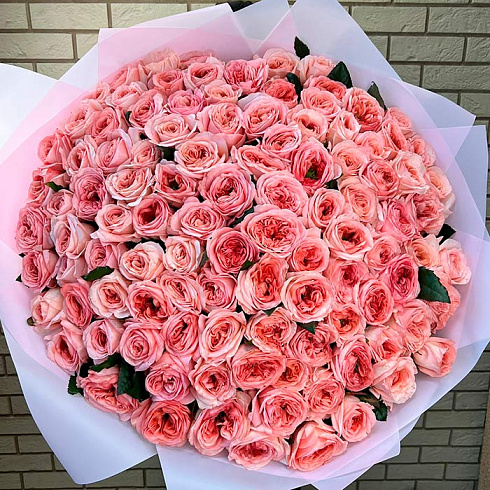 101 пионовидная розовая роза