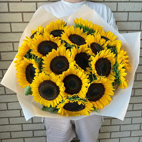 19 подсолнухов