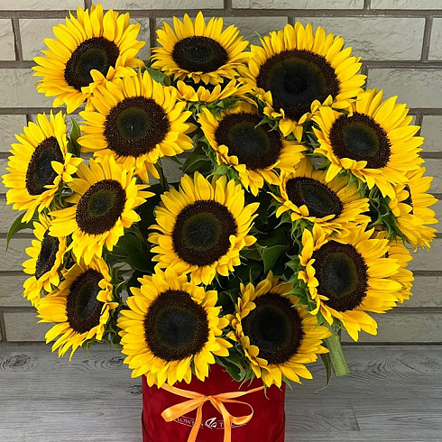 Подсолнухи в красной коробке