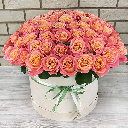 101 двухцветная роза