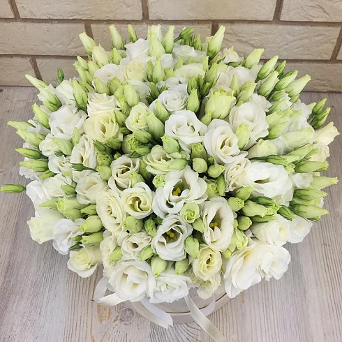 Эустомы в бархатной коробке