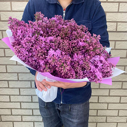 Сирень в дизайнерской плёнке