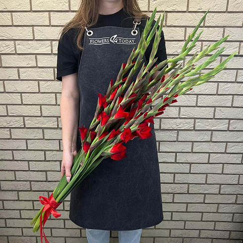Красные гладиолусы