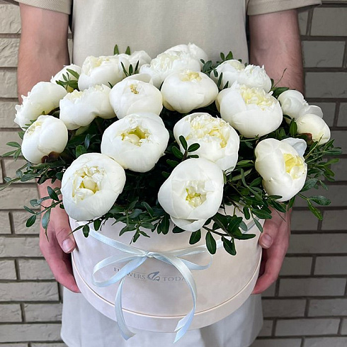 Белые пионы и зелень в коробке