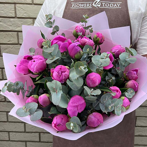 21 малиновый пион с эвкалиптом