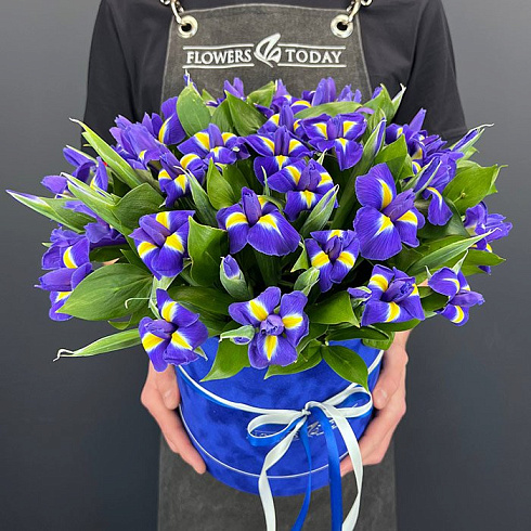 Ирисы в коробке