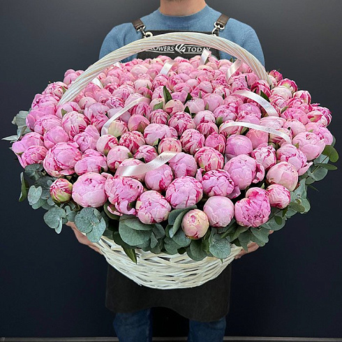 151 пион в корзине