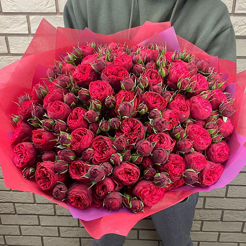 Пионовидная роза Red Piano