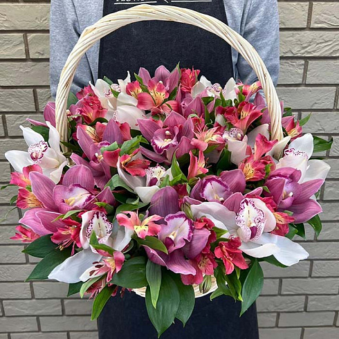 Яркая корзина орхидей с альстромерией