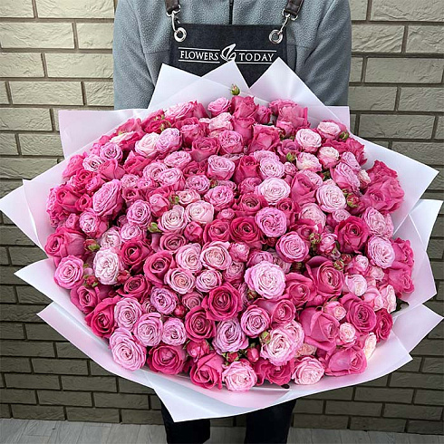 101 роза микс