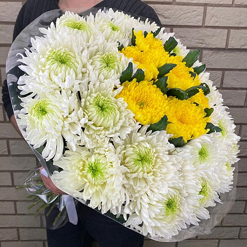 Белые и желтые хризантемы