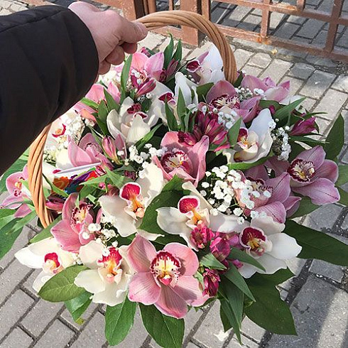Орхидеи в корзине