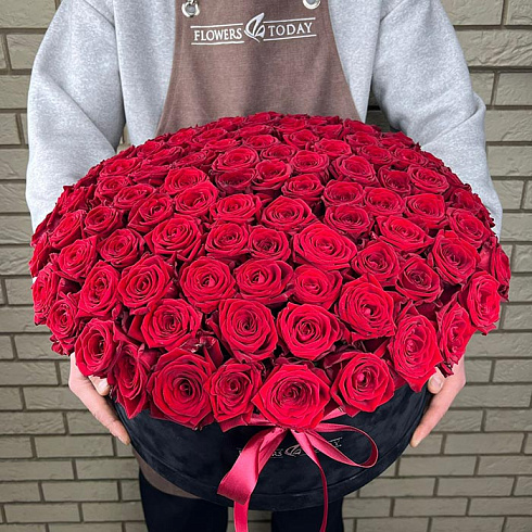 111 красных роз в бархатной коробке