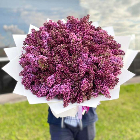 Большой букет сирени