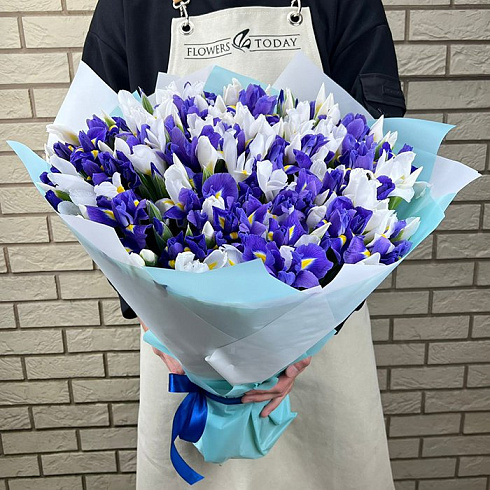 101 ирис микс