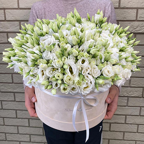 Эустомы белые в бархатной коробке